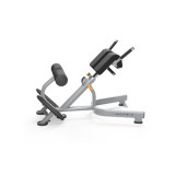 Matrix MG-A52 Скамья для гиперэкстензии