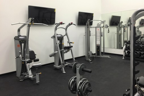 Гравитрон - подтягивание / отжимание с противовесом Hoist HD-3700