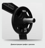 BRONZE GYM AL-318 Силовая полурама с турником