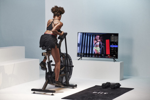 Вертикальный велотренажер эйрбайк ASSAULTBIKE PRO