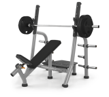 Скамья для жима Matrix A79 Platform