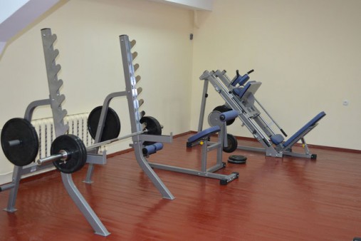 Тренажер, нагружаемый дисками, для спины и пресса AeroFit IF IFABM