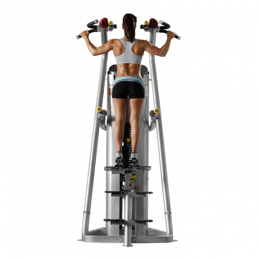 Подтягивание, отжимание с помощью, на прямых ногах. Гравитрон HOIST ROC-IT RS-1700 черный