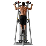 Hoist RS-1700 Подтягивание, Отжимание с помощью (гравитрон) black